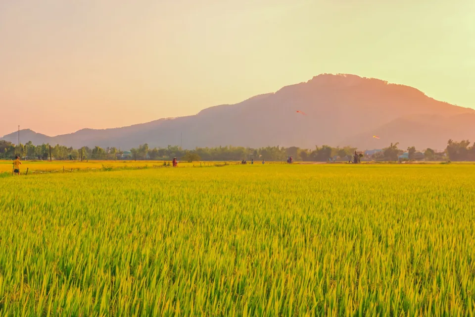 Kho gạo của Lê Thị Ngà